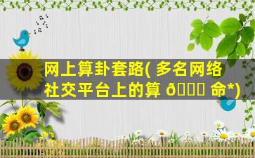 网上算卦套路( 多名网络社交平台上的算 🐋 命*
)